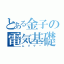 とある金子の電気基礎（ムリゲー）