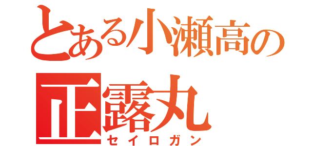 とある小瀬高の正露丸（セイロガン）