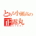 とある小瀬高の正露丸（セイロガン）