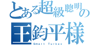 とある超級聰明の王鈞平様（Ｓｍａｒｔ Ｔｕｒｋｅｙ）