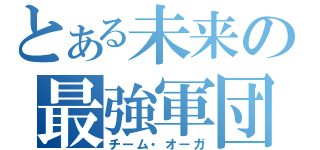 とある未来の最強軍団（チーム・オーガ）