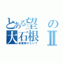 とある望の大石根Ⅱ（部屋開けといて）