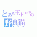 とある王ドロボウの野良猫（黒き猫）