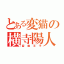 とある変猫の横寺陽人（変態王子）