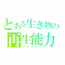 とある生き物の再生能力（プラナリア）