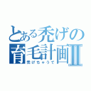 とある禿げの育毛計画Ⅱ（禿げちゃうで）