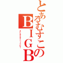 とあるむすこのＢＩＧＢＡＮＧ（まいふあんたすてぃっくべいびー）