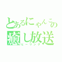 とあるにゃんこの癒し放送（ヒーリング）