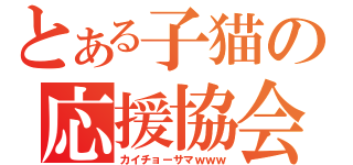 とある子猫の応援協会（カイチョーサマｗｗｗ）