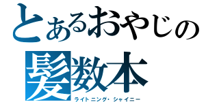 とあるおやじの髪数本（ライトニング・シャイニー）