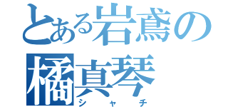 とある岩鳶の橘真琴（シャチ）