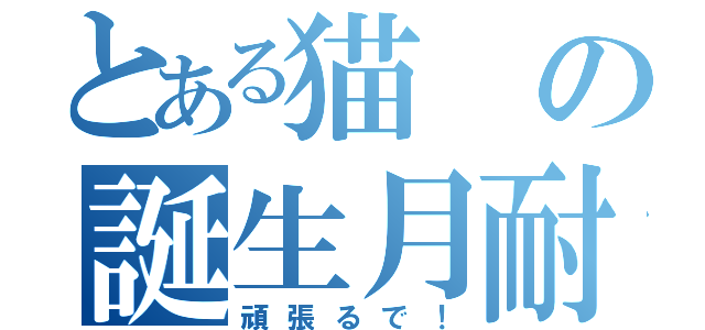 とある猫の誕生月耐久配信（頑張るで！）