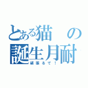 とある猫の誕生月耐久配信（頑張るで！）