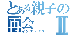 とある親子の再会Ⅱ（インデックス）