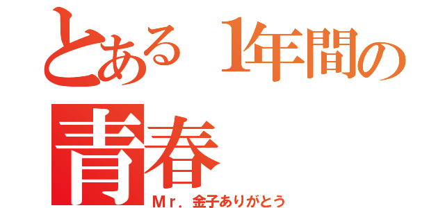 とある１年間の青春（Ｍｒ．金子ありがとう）