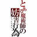 とある魔術師の妨害行為（シュトリゴン）