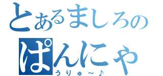 とあるましろのぱんにゃ（うりゅ～♪）