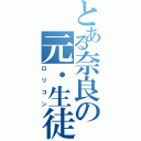 とある奈良の元・生徒会超（ロリコン）