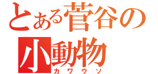 とある菅谷の小動物（カワウソ）