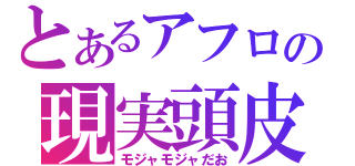 とあるアフロの現実頭皮（モジャモジャだお）