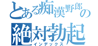 とある痴漢野郎の絶対勃起（インデックス）