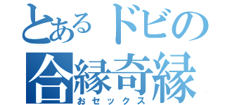 とあるドビの合縁奇縁（おセックス）