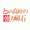 とある高校の強力磁石（マジニート）