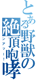 とある野獣の絶頂咆哮（ンアッー！）