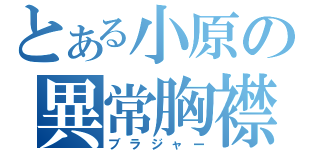 とある小原の異常胸襟（ブラジャー）