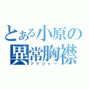 とある小原の異常胸襟（ブラジャー）