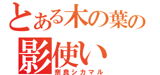 とある木の葉の影使い（奈良シカマル）