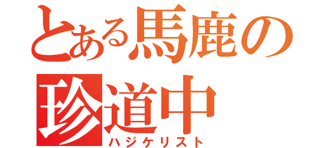 とある馬鹿の珍道中（ハジケリスト）