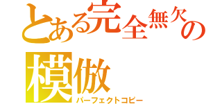 とある完全無欠の模倣（パーフェクトコピー）