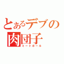 とあるデブの肉団子（ミートボール）