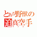 とある野獣の迫真空手部（インム）