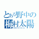 とある野中の梅村太陽（キタナイバイソン）