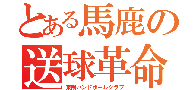 とある馬鹿の送球革命（東陽ハンドボールクラブ）