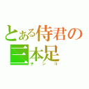 とある侍君の三本足（チンコ）