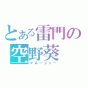 とある雷門の空野葵（マネージャー）