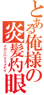 とある俺様の炎髪灼眼（イロンハミトメナイ）