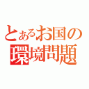 とあるお国の環境問題（）