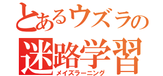 とあるウズラの迷路学習（メイズラーニング）