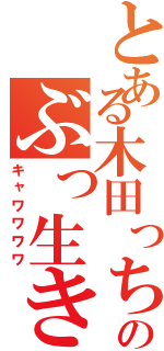 とある木田っちのぶっ生きすⅡ（キャワワワワ）