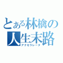 とある林檎の人生末路（アクセラレータ）