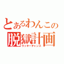 とあるわんこの脱獄計画（ラッキーチャンス）