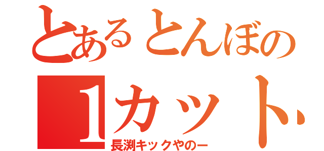 とあるとんぼの１カット（長渕キックやのー）