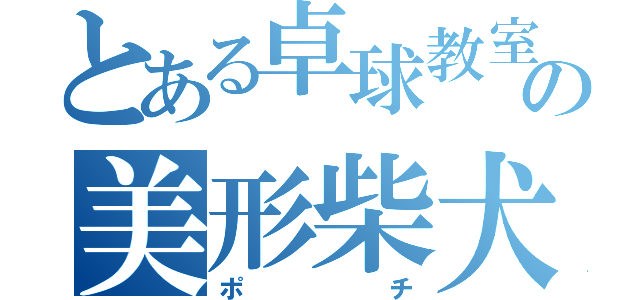 とある卓球教室の美形柴犬（ポチ）