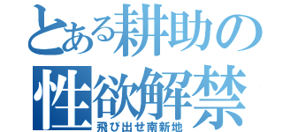 とある耕助の性欲解禁（飛び出せ南新地）