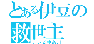 とある伊豆の救世主（テレビ神奈川）