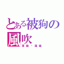 とある被狗の風吹（草動錑滿燼）